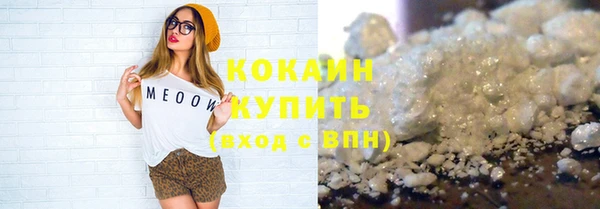 твердый Бородино