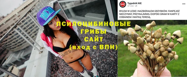стаф Бронницы