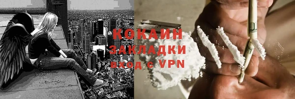 дурь Сатка