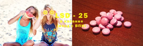 твердый Бородино