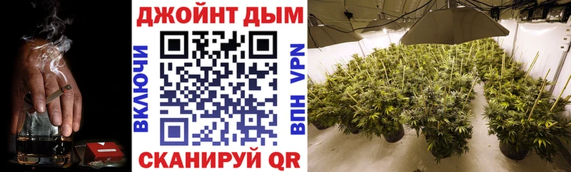 Каннабис OG Kush  Ялта 